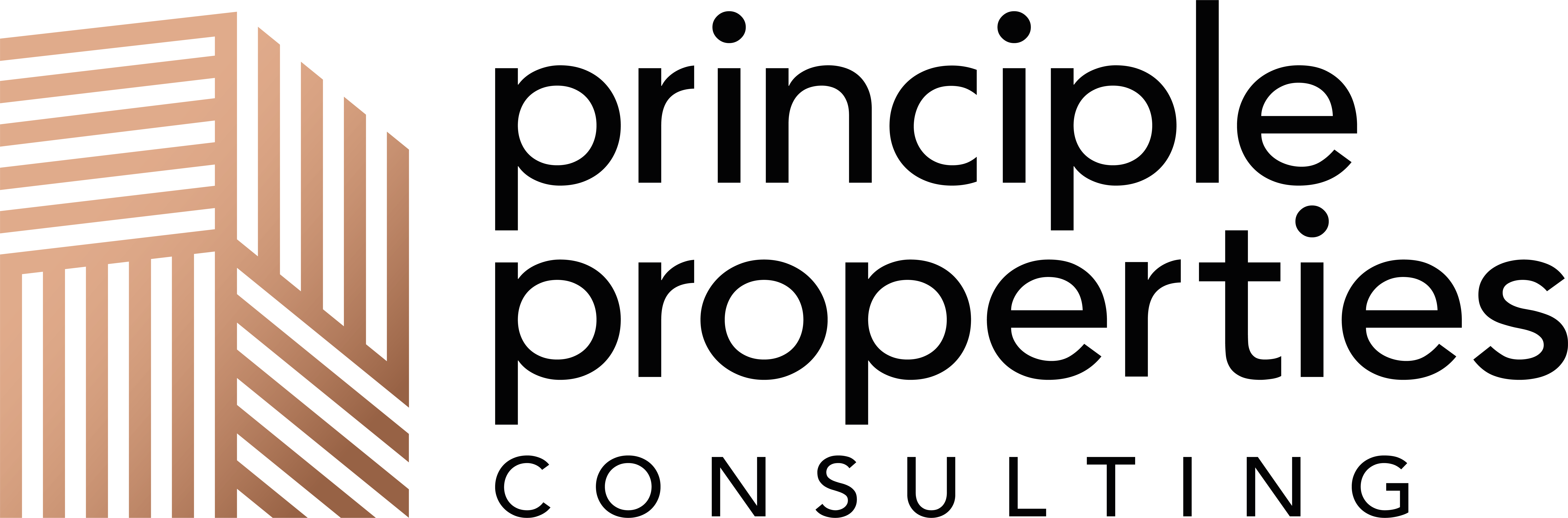 Principle Properties Consulting Logo